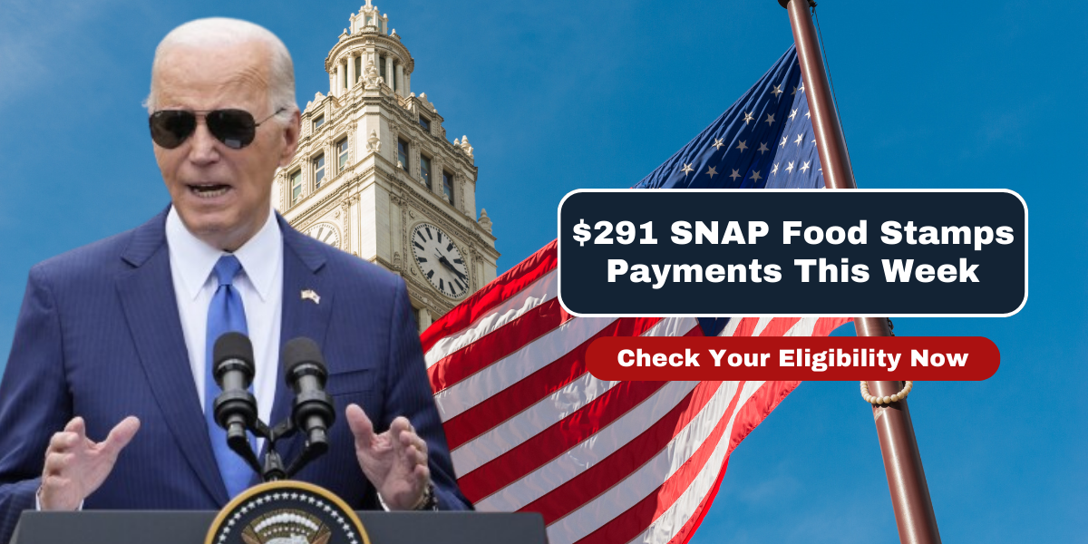 $291 SNAP Food Stamps Payments This Week Check Your Eligibility Now