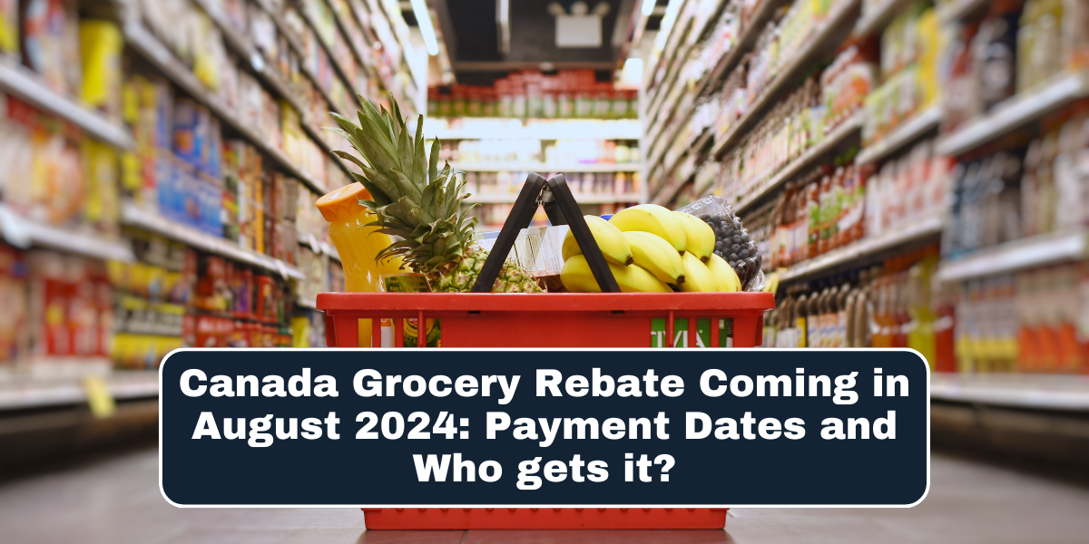 Canada Grocery Rebate Coming in August 2024: Payment Dates and Who gets it?