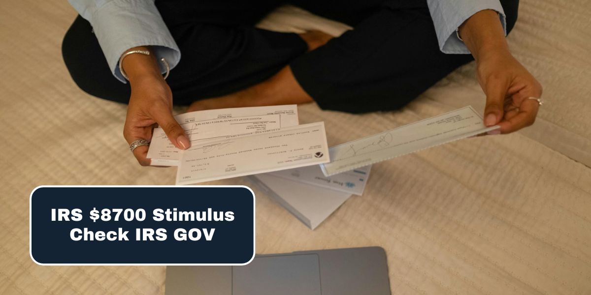 IRS $8700 Stimulus Check IRS GOV